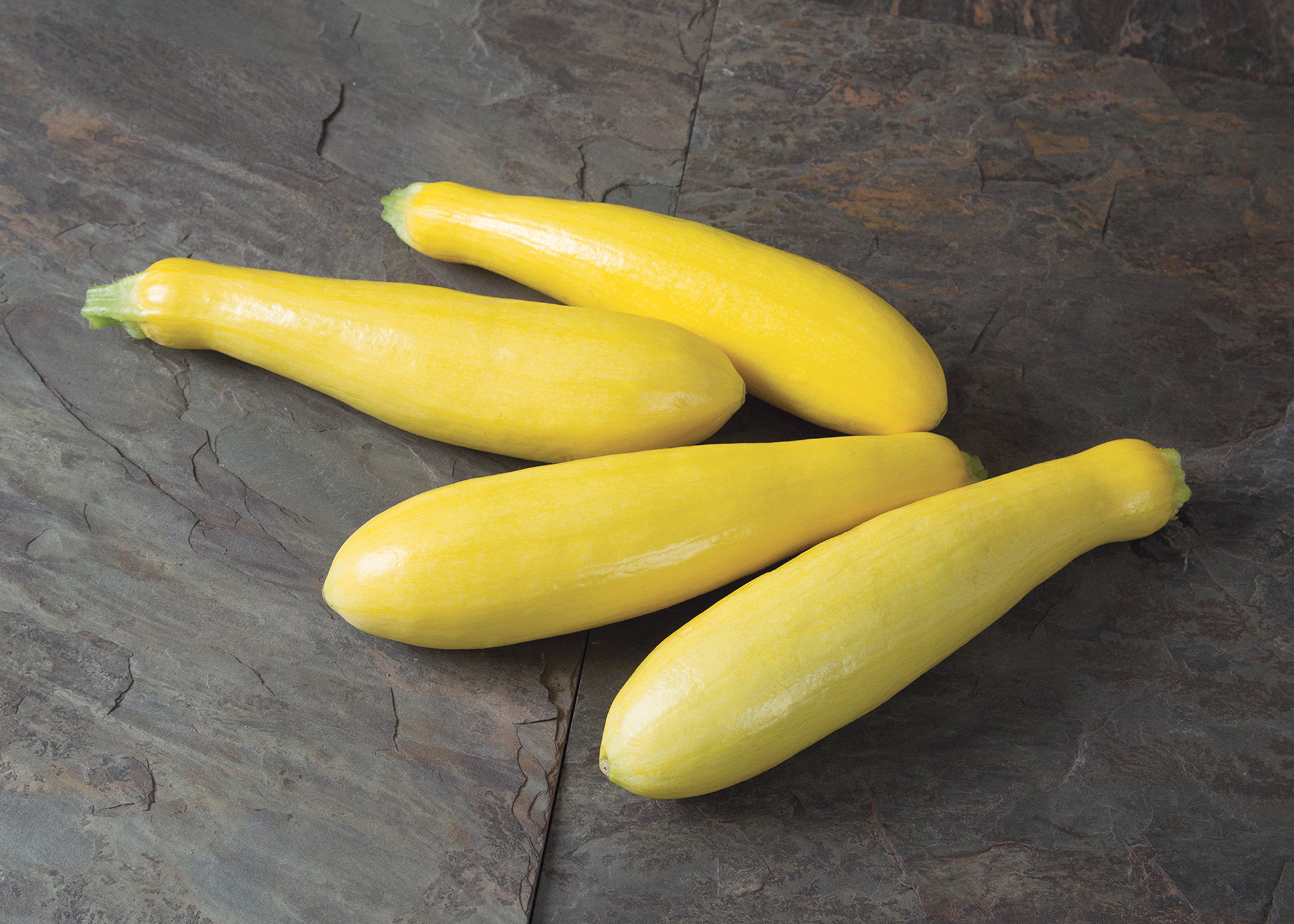 This agronomic image shows the squash variety called Grandprize.