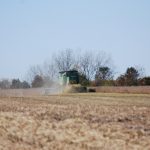 This agronomic image shows a combine harvesting soybeans.
