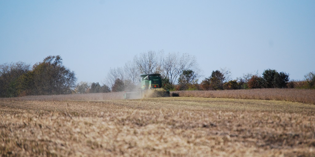 This agronomic image shows a combine harvesting soybeans.
