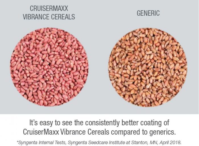 This image shows CruiserMaxx Vibrance seeds and generic seeds.