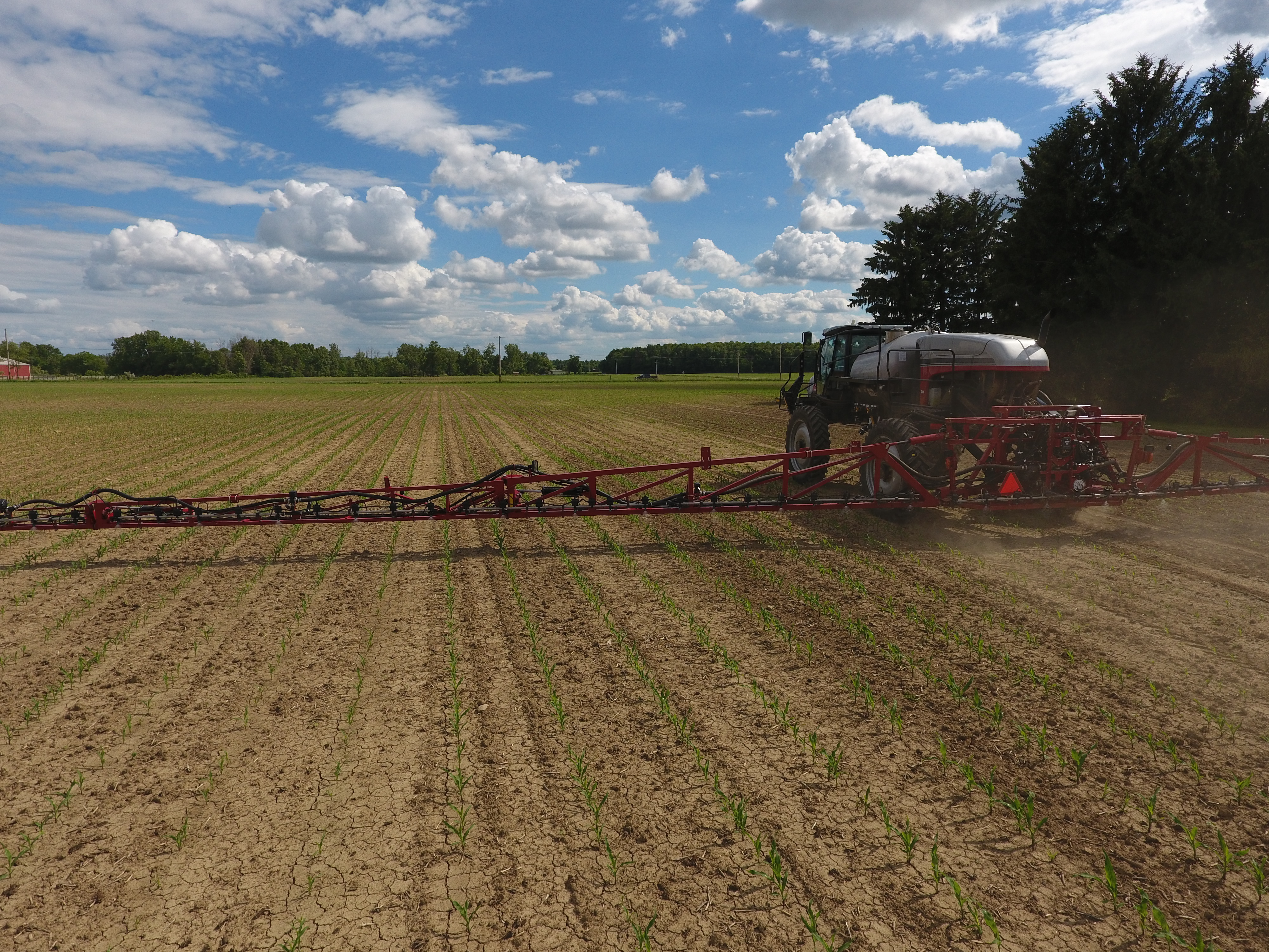 A sprayer makes a post-emergence application of corn herbicide.