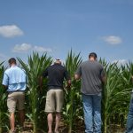 This agronomic image shows Agronomist Brett Craigmyle (far left) and several retailers inspect a corn plot at the Columbia, MO, Grow More Experience site