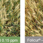 This agronomic image compares Miravis Ace and Folicur fungicide.