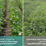Tavium Plus VaporGrip Technology offers multiple effective sites of action to help you stay ahead of resistant weeds.