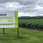 This image shows the Grow More Experience Site sign in front of a field at the Stanton, Minnesota, Grow More Experience testing site.