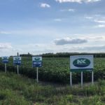 This agronomic image shows NK seeds signs for the Janesville, MN Grow More Experience site