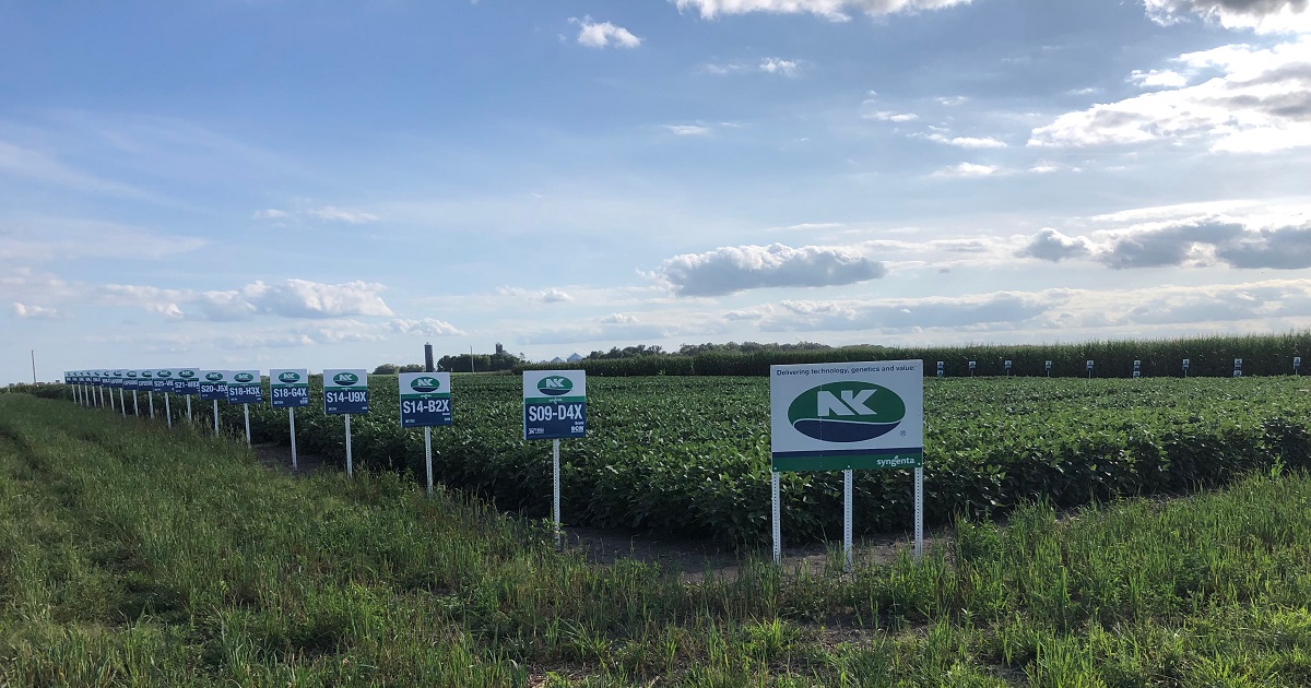 This agronomic image shows NK seeds signs for the Janesville, MN Grow More Experience site