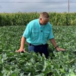 Agronomic Service Representative Dean Grossnickle compares 2 soybean herbicide treatments at a recent Grow More™ Experience event in Slater, IA.