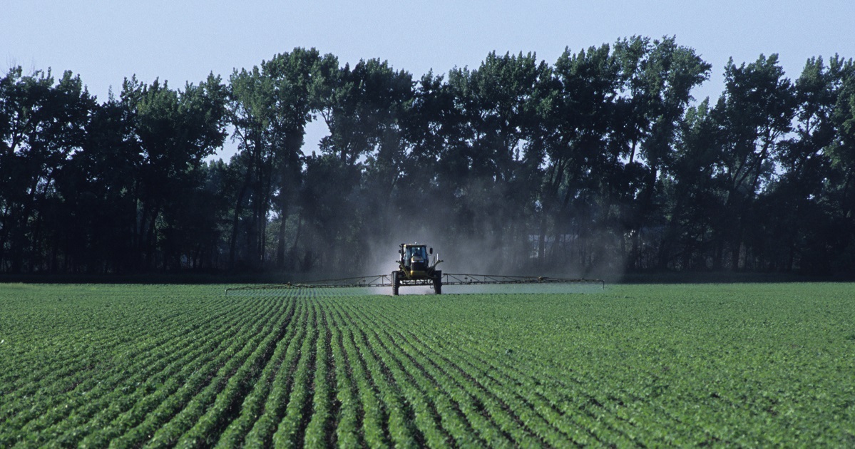 A tractor spraying herbicide onto a soybean field.