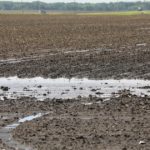 This agronomic image shows a flooded field in IL