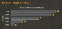 This chart shows weed resistance numbers by decade in the US