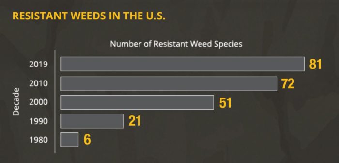 This chart shows weed resistance numbers by decade in the US