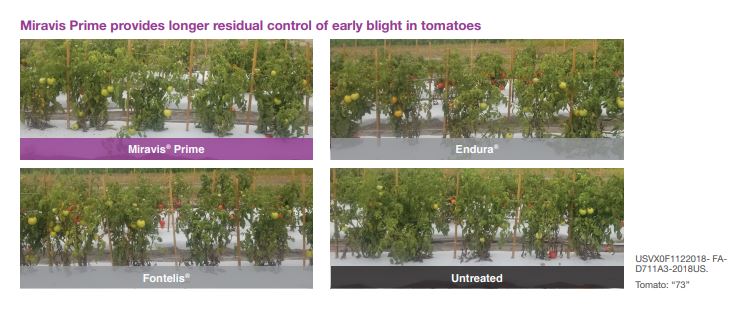 This chart compares residual controll of early blight in tomatoes amongst tomatoes