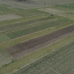 A photo from above of a field at the York, Nebraska, Grow More Experience site.