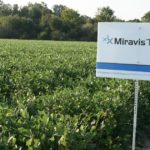 This agronomic image shows a Miravis Top sign in Rend Lake, IL