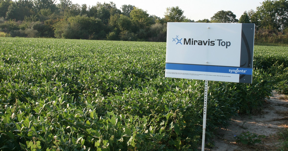 This agronomic image shows a Miravis Top sign in Rend Lake, IL