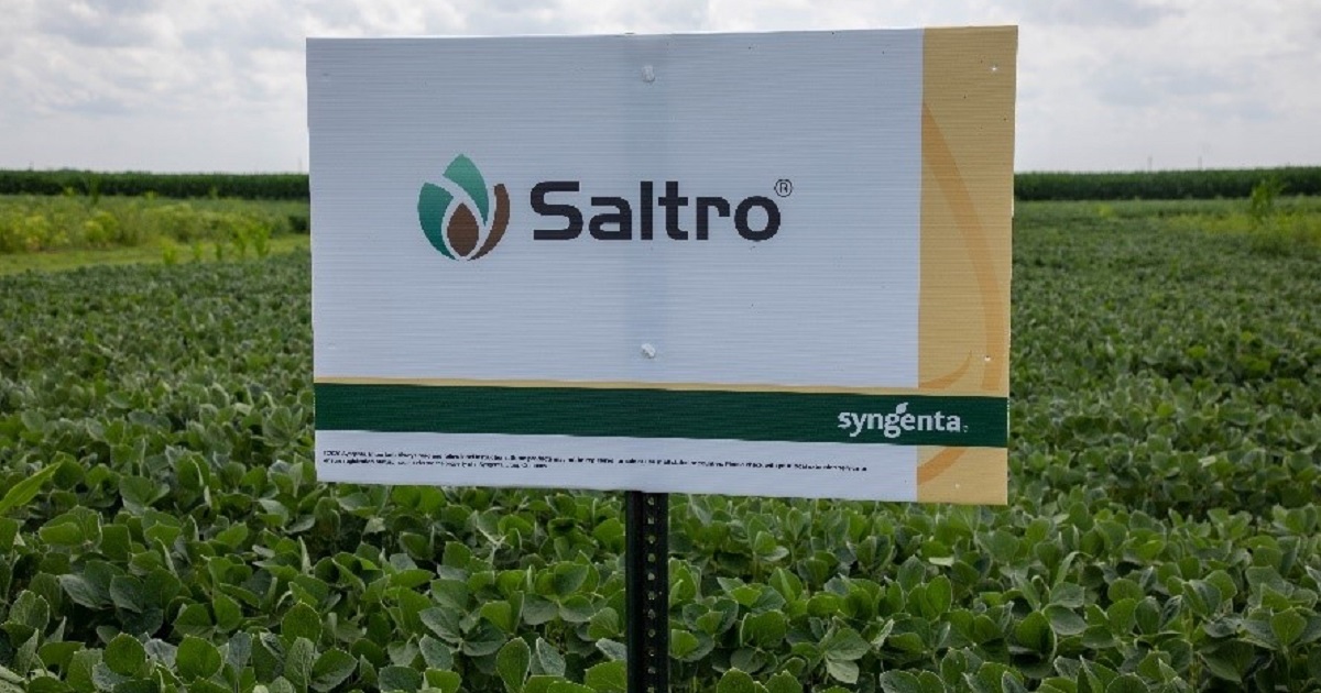 This agronomic image shows a Saltro sign in a field