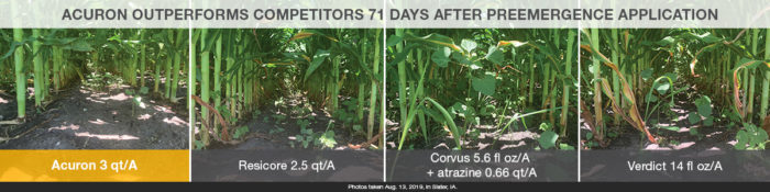 This image shows herbicide comparisons
