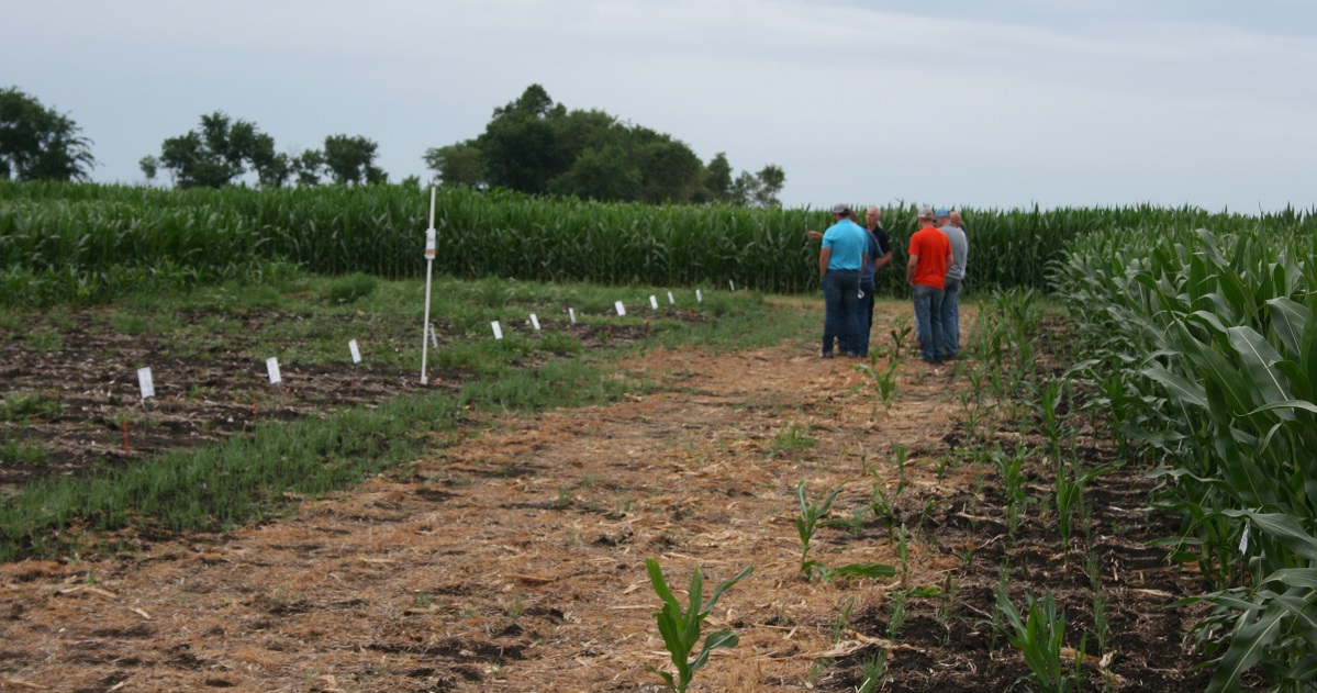 field trials at the Iroquois, SD Grow More Experience site