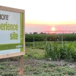 grow more experience sign at the site in scott city, kansas