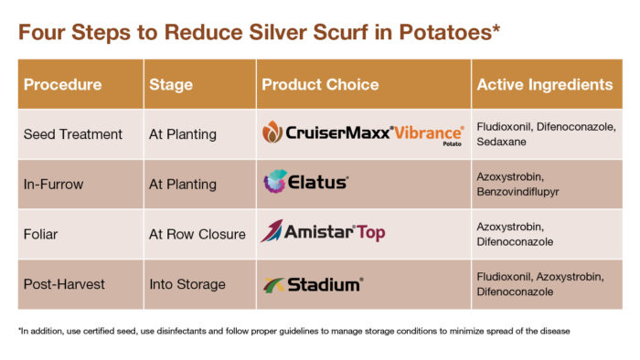 Silver Scurf chart