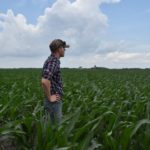 man standing in corn field