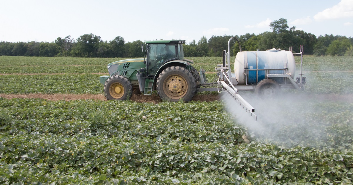 soybean field being sprayed with a pesticide