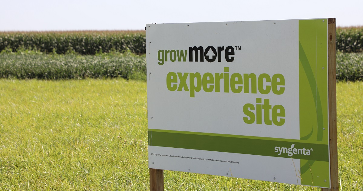 a sign that reads grow more experience site