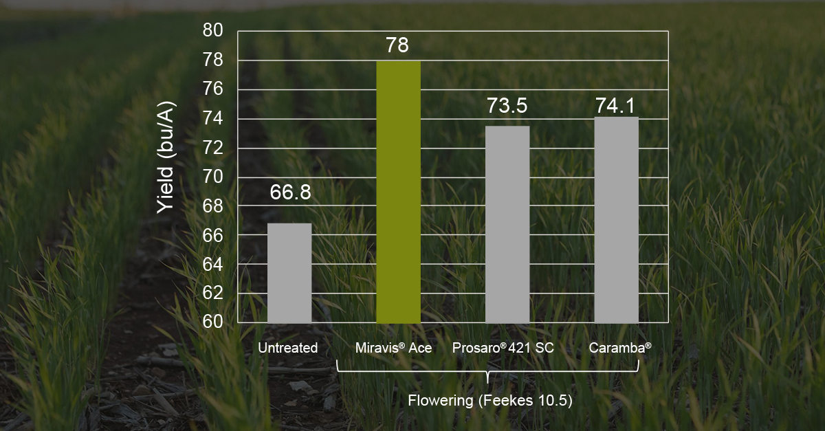 chart showing Miravis Ace performs better than other fungicide options when applied at both Feekes 10.5 and Feekes 10.3