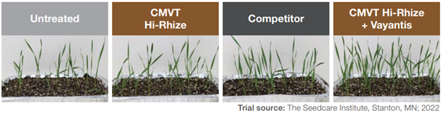 side by side images between the effectiveness of different seed treatments