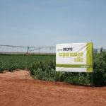Shallowater, TX, Grow More Experience site sign